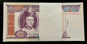 �����S���A100�g�D�O���N P-65 2008×100���b�g�z�[�XUNC�t���o���h���}�l�[��s��-