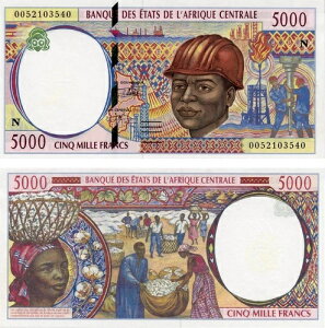 �����A�t���J 5000�t���� 2000�k �ԓ��M�j�A UNC (P504N)