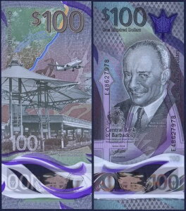 �o���o�h�X - P85b - 100�h�� - �|���}�[ - 2024 - ���O�Ȃ� - ������UNC