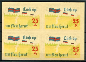 �m���f���n�� 25 �t�F�j�q �u���b�N �I�u �t�H�[ �A���h���b�N�{�[�Q�� 2/20278