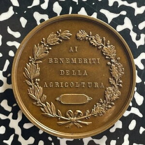 �i1880�N��j�C�^���A �R���g�[�i�_�Ƌ���_�� ���b�g�ԍ�OV1586 ���Ɋ󏭁I50mm