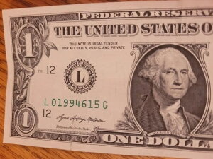 $1 2021/L01994615G/�t�@���V�[�V���A���i���o�[/�a����/�L�O��/�f�X�m�[�g 94�N6��6��