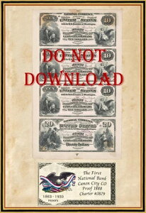 1888�N�R�s�[ �v���[�t $10-$20 1st Natl Bank �L���m���V�e�B �R�����h Ch#3879
