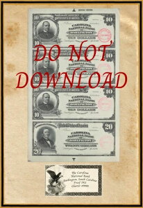 �R�s�[ 1911 �v���[�t $10 $20 �J�����C�i������s �_�[�����g�� �T�E�X�J�����C�i 9999