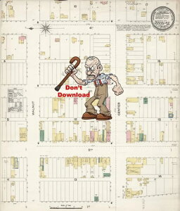 1894�N�̃_�O���X�E���C�I�~���O�n�}�̃R�s�[�B���H�A�����Ȃǔ��ɏڍׂɕ`����Ă���B