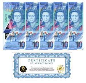 ���J���u�C 10�h���A2019�N���s 5������ �G���U�x�X2���|���}�[���� UNC