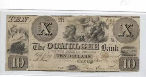 �A�����J�A�W���[�W�A�B�A�I�X�}���W�[��s�A10 �h���A1837 VF�A��!