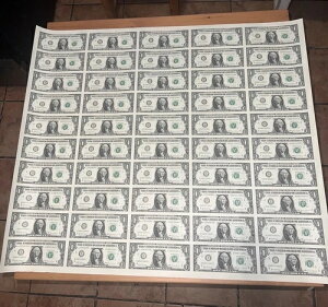 2017�N�j���[���[�N�A�M������s��1�h�������i���ْf�V�[�g�j50��