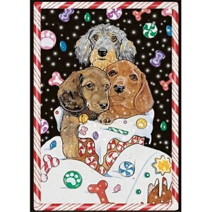 Pipsqueak Productions C809 �_�b�N�X�t���g �z���f�[������J�[�h-