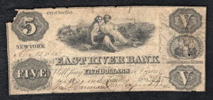 1860�N 5�h�� �C�[�X�g���o�[�o���N �j���[���[�N�s ������ *��*