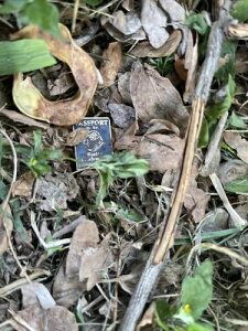 Objeto Hist?rico Encontrado Del 1932-