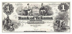 18XX�N�l�u���X�J�B�o�[�g�S�e�J�}��s���s��1�h�������i57957�j