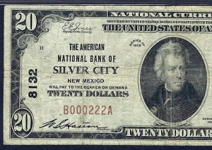 ???? NM 1929 $20 ??�V���o�[�V�e�B�A�j���[���L�V�R?? THE AMERICAN NB PMG CHOICE FINE 15