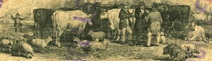 KY $1 �o�[�o�[�Y�r�� �P���^�b�L�[�B�k����s ���C�r�� 1862�N3��20�� KY-175 G68