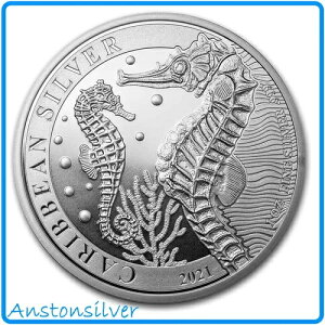 2021 �o���o�h�X �J���u�C �V�[�z�[�X - ??�J�v�Z����??