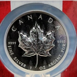 2024�N �J�i�_ $20 1�I���X �V���o�[ ���[�v�����[�t UHR �p���X�t�H���X�g NGC Rev PF70 9999-