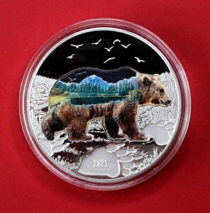 2021�N �����S�� BEAR-INTO THE WILD�A2�I���X �V���o�[�A�J�v�Z��/�{�b�N�X/COA�A�󏭕i�A��������