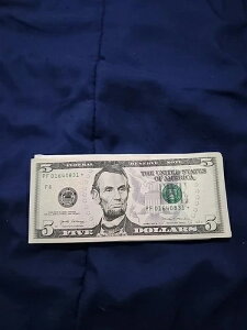 2017A 5�h�������X�^�[�m�[�g PF01640831-