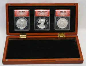 2008�N ANACS MS70�APR70�ASP70 �A�����J���V���o�[�C�[�O�� �j���[�_�C �o���G�e�B 3�R�C���Z�b�g