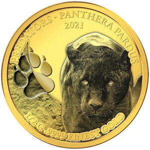 2021�N �Z�l�K�� ���� �q���E ��^�l�R�ȓ��� Panthera Pardus �ߐH���� �쐶���� WWF