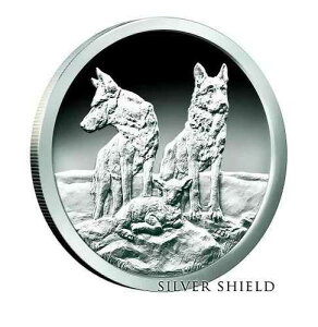 2015 5�I���X AWARE AND PREPARED PROOF COA SILVER SHIELD 777�t��