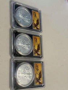 2019 W �o�[�j�b�V���h �V���o�[ �C�[�O�� PCGS SP70 �N���[�u�����h �������s�ꏊ�Z�b�g
