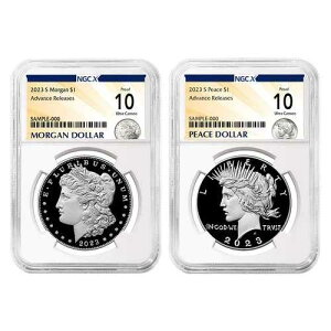 2���Z�b�g - 2023-S �v���[�t $1 �����K�����s�[�X �V���o�[�_���[ NGCX PF10UC AR �����K��