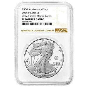 �v���Z�[�� - 2025-P $1 1�I���X �v���[�t �A�����J�� �V���o�[ �C�[�O�� �C���� �v���C�x�[�g NGC