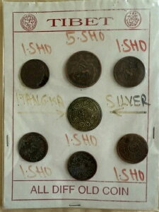 1907-12�N ���� �`�x�b�g �^���J ��� PCGS AU50