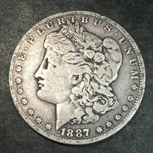 1887-O �����K���E�_���[ - ���i���X�L���� #P455