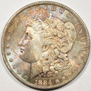 1884-O ���[�K���E�_���[ ~ ���ʂ͔������p�X�e�� �g�[���ƃ^�u �g�[�j���O!!