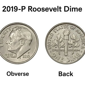 2019-P ���[�Y�x���g �_�C�� ���� DDO DDR ���L�� �G���[�̉\������ �V��