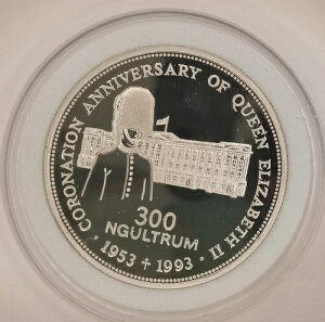 �u�[�^�� 300 �j�����^�� �� 40 ��Պ��L�O�N���C���� �K�[�h��� 1993