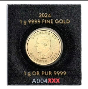 24K�����݃��[�v�����[�t�i���[�v���O�����Ӓ�J�[�h�t���j�L���O�`���[���Y�n�����E���h