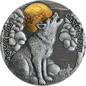 �O���[�E���t-Wildlife in The Moonlight - 2020 �j�E�G 2�I���X �V���o�[ �S�[���h �����b�L �R�C�� -