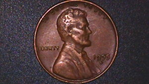 1955-D �����J�[�� �E�B�[�g�Z���g ���~�l�[�V���� DDO FS-01-1955D-101 3.1G ��������