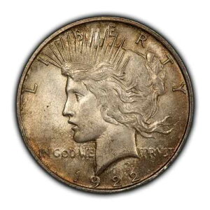 1922-D 1�h����݃s�[�X�_���[ - ����d�グ - �Z�~�L�[�f�[�g - SKU-D4711