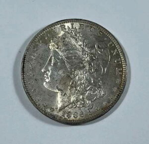 1886�N�����K���E�_���[�i#20723�jCh BU�܂�\�ʁB���ʁB���������F�̐F���B