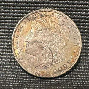 1896�N-P ���[�K���V���o�[�h��-�i�`�������p�e�B�i - #D6-