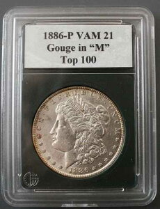 1886 P VAM 21 �S�b�W M�T�C�Y�A�_�u�����o�[�X�A�g�b�v100���X�g