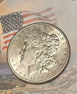 �V���[�v?1900 P ���[�K�� S$1?���N�t�B���f���t�B�A�Ŋ󏭂ȃ~���g���X�^�[ - ��90%?