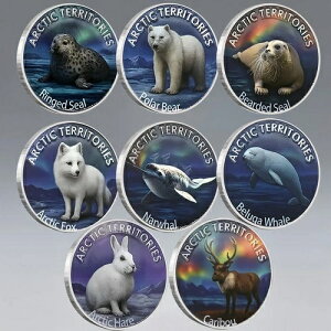 ARCTIC TERRITORIES �쐶�����R�C��8���Z�b�g ? �x���[�K�A�z�b�L���N�O�}�ȂǃM�t�g