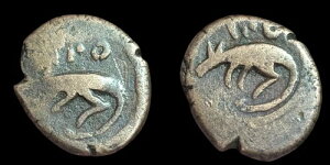�C�X�������A�t�K�j�X�^���s����AE FALUS�w���[�g�����^�C�v'�l�Y�~�I�[�m#263418