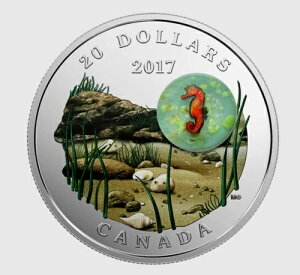 2017�N �A���_�[�E�U�E�V�[ �V�[�z�[�X 1�I���X ����J���[�R�C��