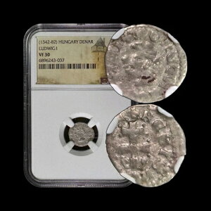 �n���K���[�B1373�N�A�f�i���E�X�A��� - NGC VF30 - ���C1���A�f�i���E�X�E�T���Z�k�X�E�T���Z�� 37