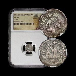�n���K���[�B1373�N�A�f�i���E�X�A��� - NGC VF30 - ���C1���A�f�i���E�X�E�T���Z�k�X�E�T���Z�� 10