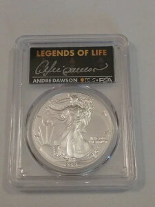 ??2021 $1 �A�����J�� �V���o�[ �C�[�O�� 1�I���X PCGS MS70 ���W�F���h �I�u ���C�t �A���h�� �h�[�\�� T2 -