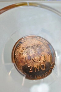 PR65RD 1955�N ���b�h�����J�[�� �E�B�[�g�y�j�[ PCGS �O���[�f�B���O�v���[�t ������ �g�[���R�C��