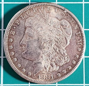1881-S �����K�����1�h���d�� �V�����y�[���J���[�B�ʐ^���������������BT5465