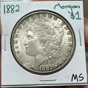 1882�N �����K����� MS ( RAW2339 )